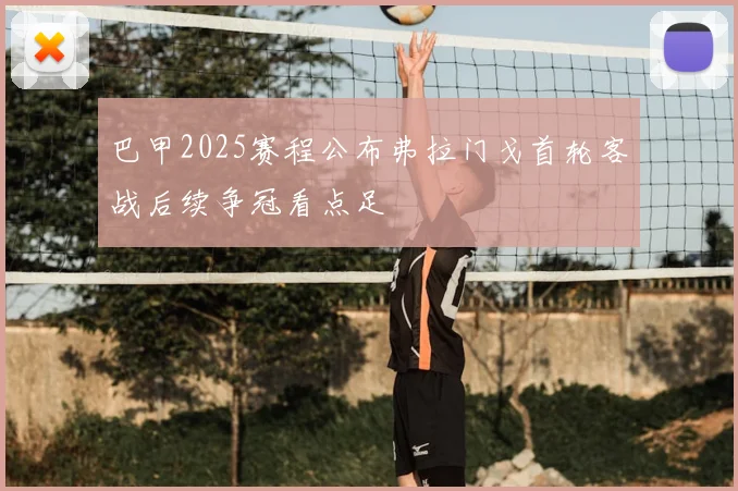 巴甲2025赛程公布弗拉门戈首轮客战后续争冠看点足